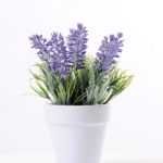 Lavender in Ceramic pot  H:17CM GS-0339810