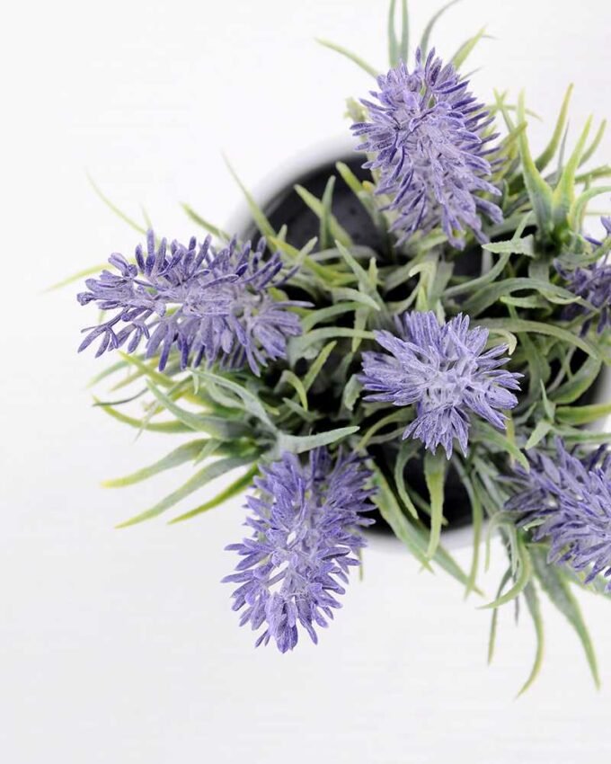 Lavender in Ceramic pot  H:17CM GS-0339810 3 Lavender in Ceramic pot  H:17CM GS-0339810
