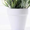 Lavender in Ceramic pot  H:17CM GS-0339810 4 Lavender in Ceramic pot  H:17CM GS-0339810