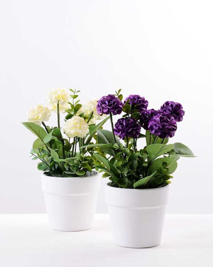 25CM Mun in Paper wrap pot GS-0339839