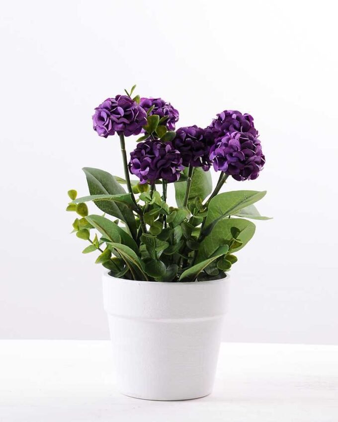 25CM Mun in Paper wrap pot GS-0339839