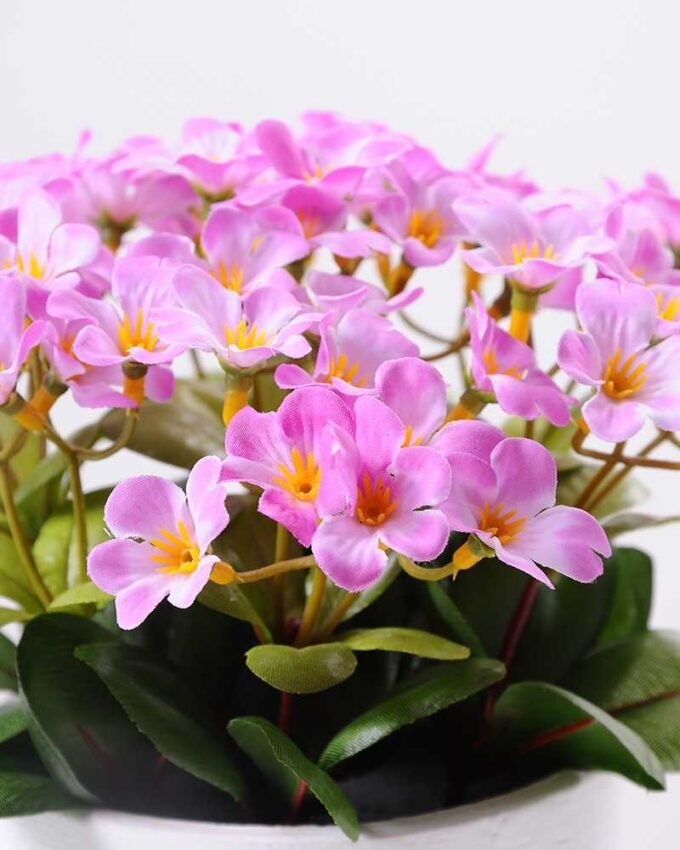 Rhododendron   in  Paper Pulp Pot GS-0339848