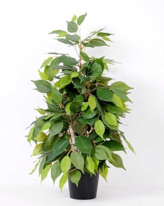 63cm Zebra bonsai GS-0339858 Tree&Plant YeahFlower is one of Chinese leading OEM manufacturers and exporters , supplying the silk flowers, wholesale artificial trees 63cm Zebra bonsai GS-0339858