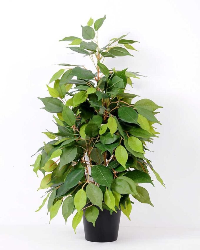 63cm Zebra bonsai GS-0339858