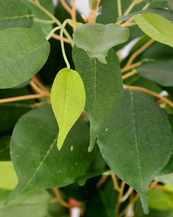 63cm Zebra bonsai GS-0339858