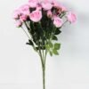 25*27CM ROSE*25 GS-0550294 4 25*27CM ROSE*25 GS-0550294