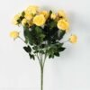 25*27CM ROSE*25 GS-0550294 5 25*27CM ROSE*25 GS-0550294
