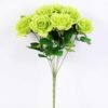 28*45CMrose bush*9 GS-0550307 11 28*45CMrose bush*9 GS-0550307