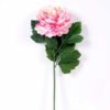 20*60cm Single peony GS-0690402-P3