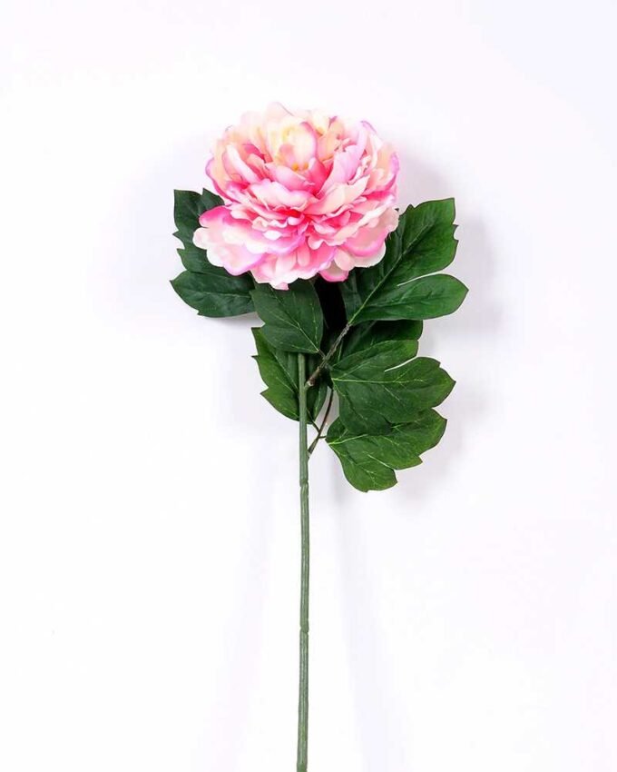 20*60cm Single peony GS-0690402-P3