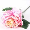 20*60cm Single peony GS-0690402-P3