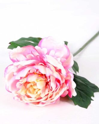 20*60cm Single peony GS-0690402-P3
