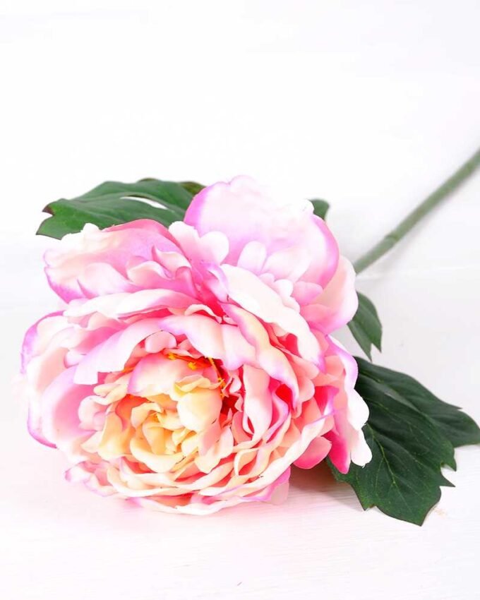 20*60cm Single peony GS-0690402-P3