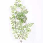 25*65cm Plastic fern spray*2 with snow GS-0720115