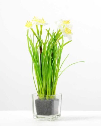 NARCISSUS POTTED GS-1060074