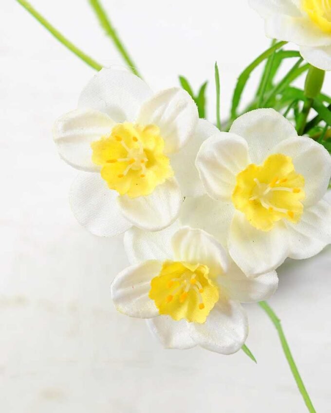 NARCISSUS POTTED GS-1060074