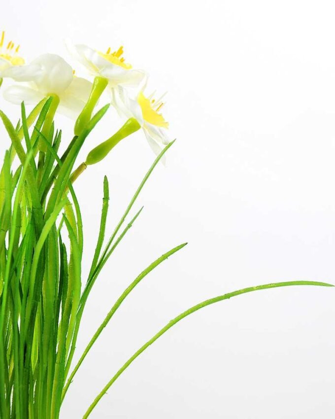 NARCISSUS POTTED GS-1060074