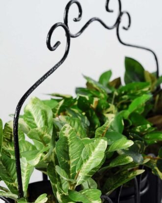 24*8*23 Mini lvs with plastic pot in  iron frame GS-1380299