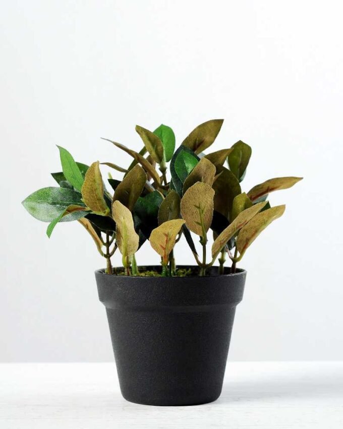 24*8*23 Mini lvs with plastic pot in  iron frame GS-1380299 5 24*8*23 Mini lvs with plastic pot in  iron frame GS-1380299