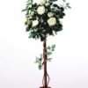 125cm Rose Tree in Plastic pot GS-1380345