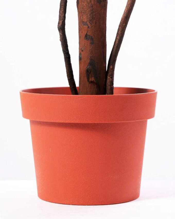 125cm Rose Tree in Plastic pot GS-1380345