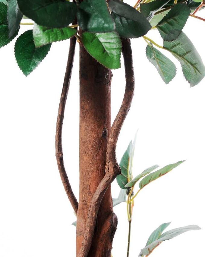 125cm Rose Tree in Plastic pot GS-1380345