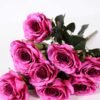 24*57cm Rose*10 GS-1430025-Z1