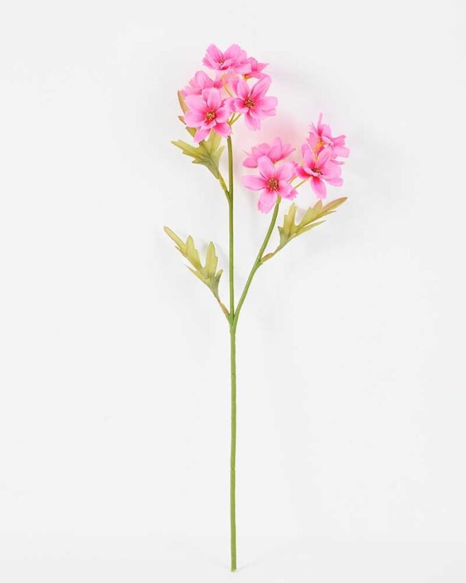 Cosomos*2 GS-1450020 6 Cosomos*2 GS-1450020