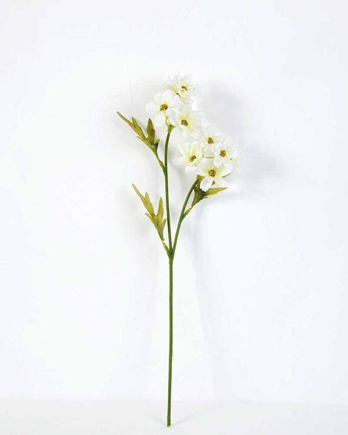 Cosomos*2 GS-1450020 7 Cosomos*2 GS-1450020