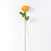 68cm Single rose GS-1450052