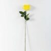 68cm Single rose GS-1450052