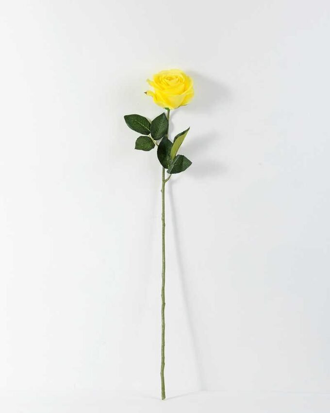 68cm Single rose GS-1450052