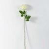 68cm Single rose GS-1450052