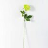 68cm Single rose GS-1450052