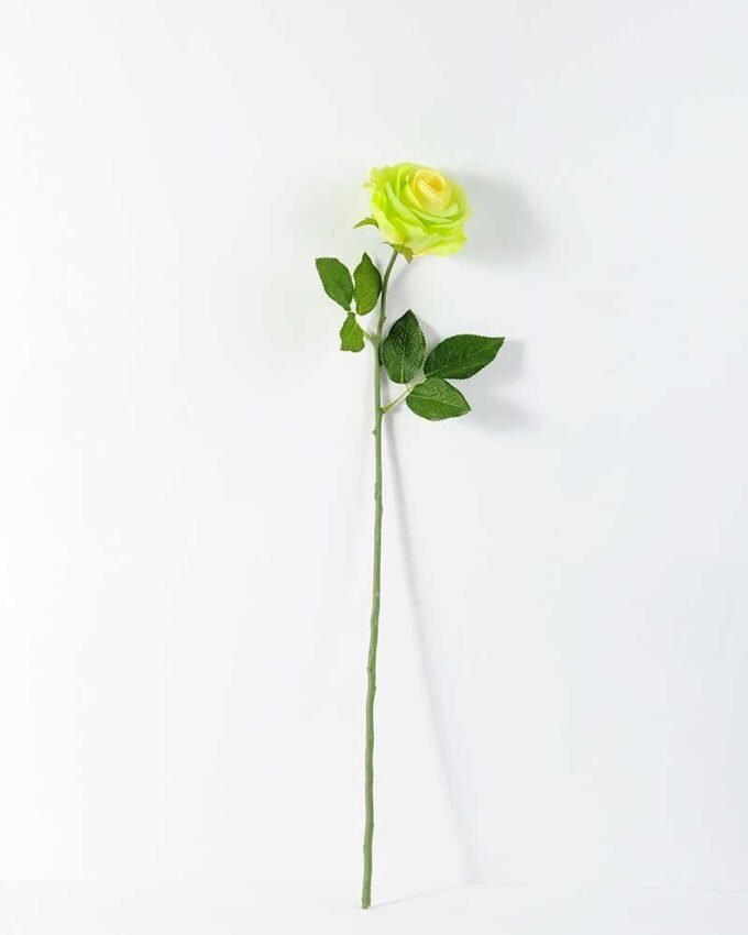 68cm Single rose GS-1450052