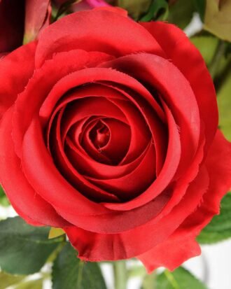 68cm Single rose GS-1450052