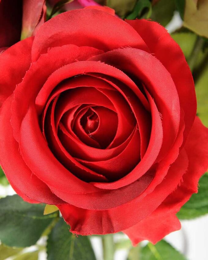 68cm Single rose GS-1450052