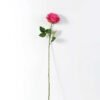 68cm Single rose GS-1450052