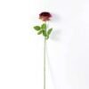68cm Single rose GS-1450052