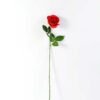 68cm Single rose GS-1450052