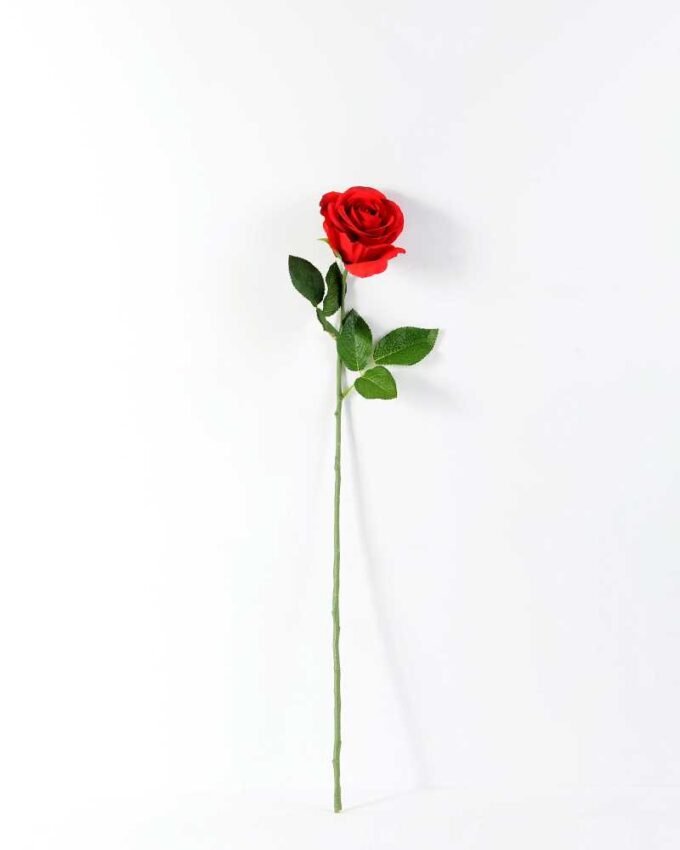 68cm Single rose GS-1450052