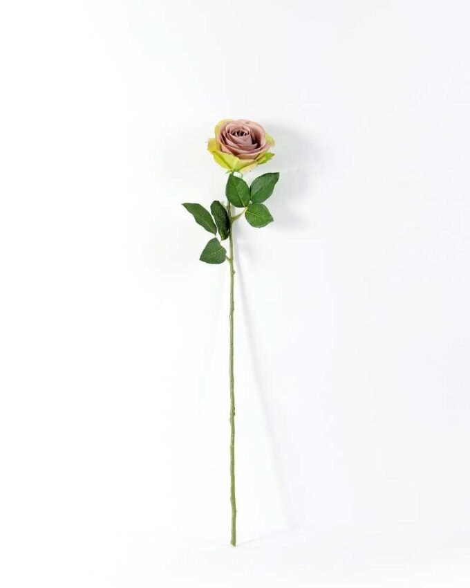 68cm Single rose GS-1450052