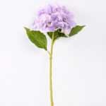 33CM MINI HYDRANGEA *1 GS-1450065-Z2