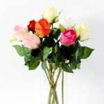 rose GS-1450082