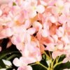 30*45CM ?Hydrangea Bush*5 GS-1450088 2 30*45CM ?Hydrangea Bush*5 GS-1450088