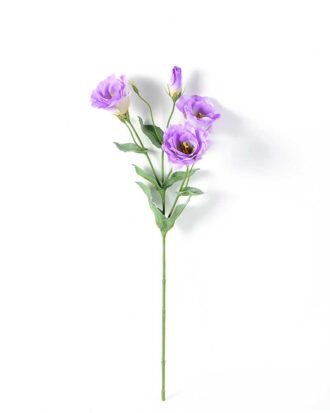 12*54CM  balloon flower GS-1450103