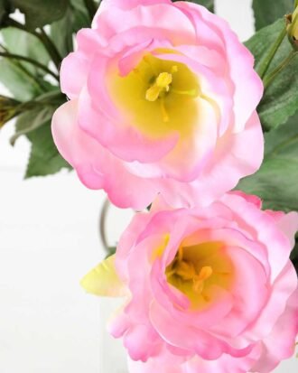 12*54CM  balloon flower GS-1450103