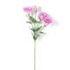 12*54CM  balloon flower GS-1450103