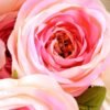 30*45CM ROSE BUSH*7 GS-1450106
