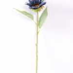 H:11*50cm Single Sunflower GS-1450119-B1